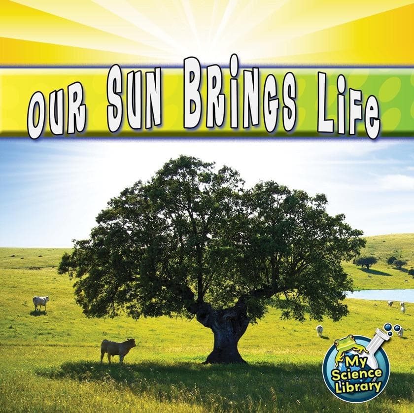 Our Sun Brings Life (Paperback)