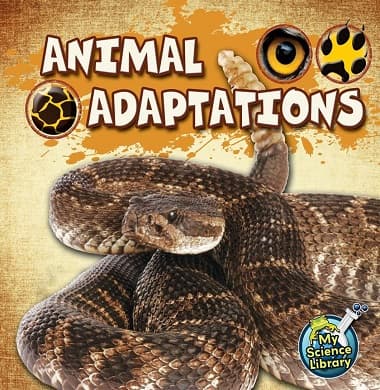 Animal Adaptations (Paperback)