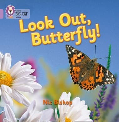 Collins Big Cat - Look Out Butterfly!