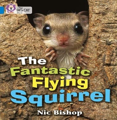 Collins Big Cat - The Fantastic Flying Squirrel