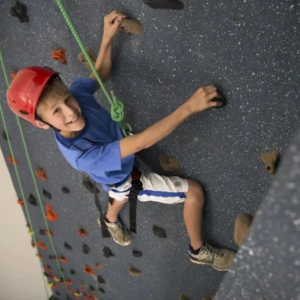 Top Rope Climbing Wall