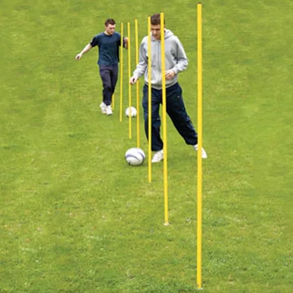 Grid Training Pole