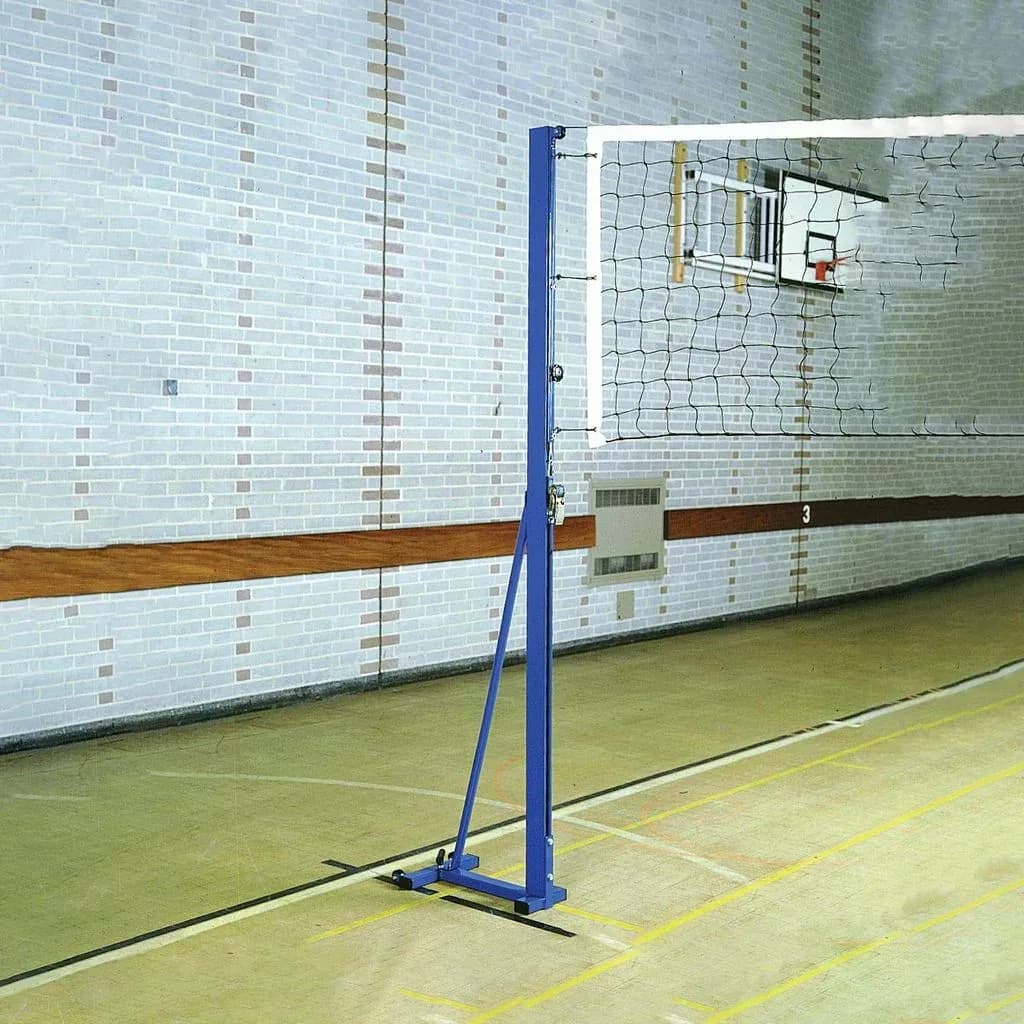 Volleyball Posts
