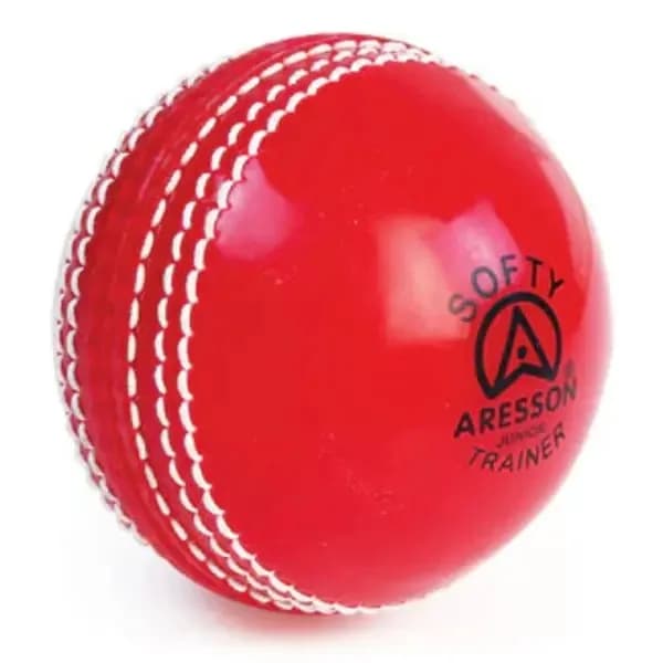 Trainer Cricket Ball