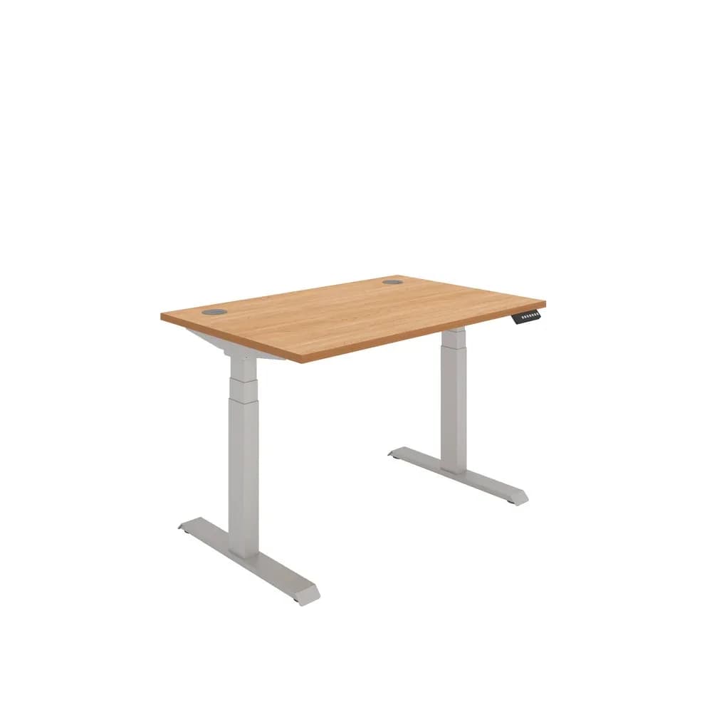 Rectangular Dual Motor Sit Stand Desk