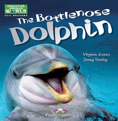 The Bottlenose Dolphin