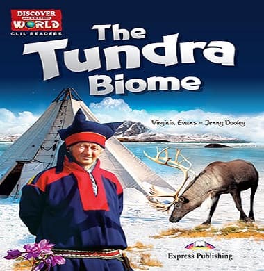 The Tundra Biome