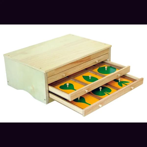 Botany Cabinet