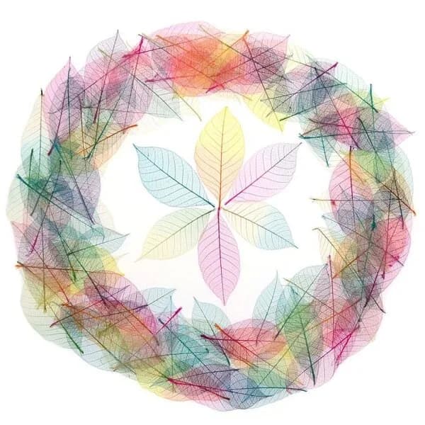 Leaves - Skeleton Colored