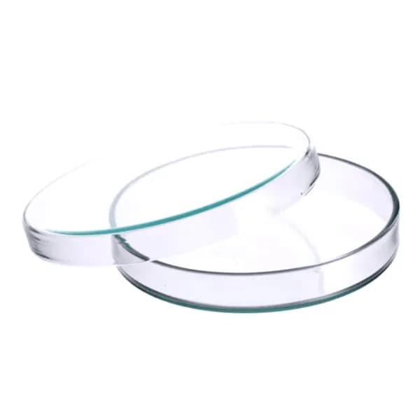 Glass Petri Dish 90x15