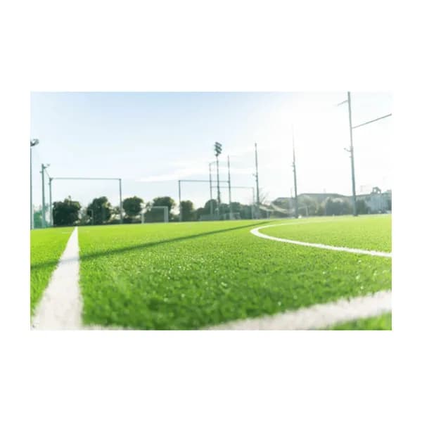 Football Field Grass