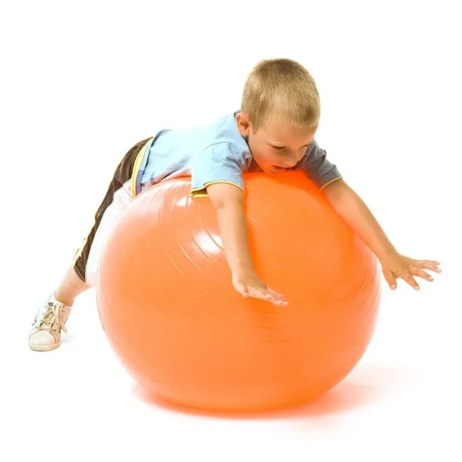 Physio Ball