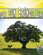 Our Sun Brings Life (Paperback)