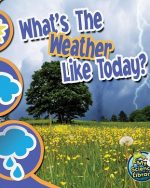 What's The Weather Like Today? (Paperback)